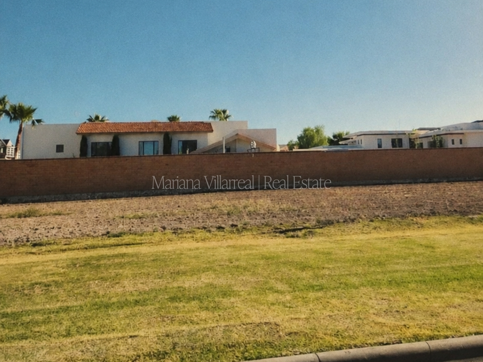 Lote Osos — imagen 1